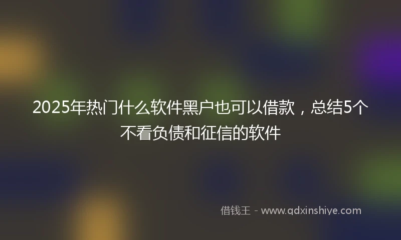 2025年热门什么软件黑户也可以借款，总结5个不看负债和征信的软件
