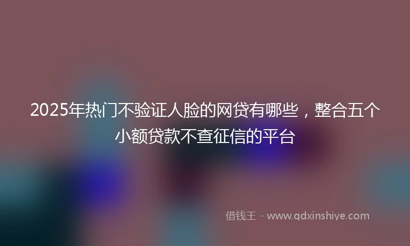2025年热门不验证人脸的网贷有哪些，整合五个小额贷款不查征信的平台
