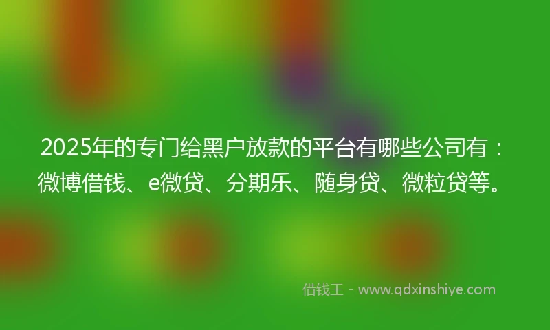 2025年的专门给黑户放款的平台有哪些公司有：微博借钱、e微贷、分期乐、随身贷、微粒贷等。