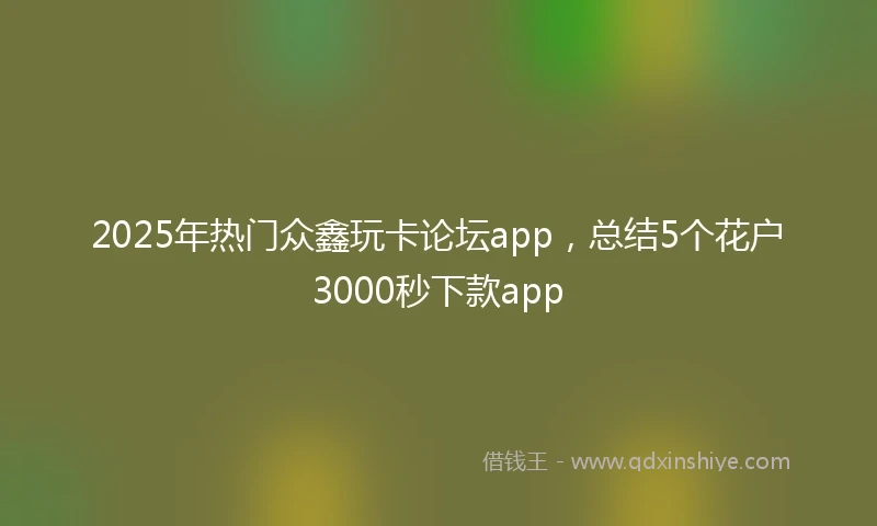 2025年热门众鑫玩卡论坛app，总结5个花户3000秒下款app