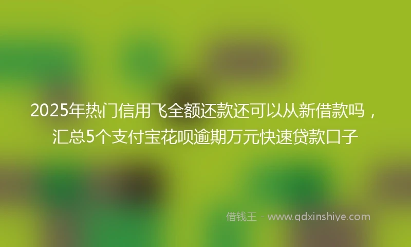 2025年热门信用飞全额还款还可以从新借款吗，汇总5个支付宝花呗逾期万元快速贷款口子