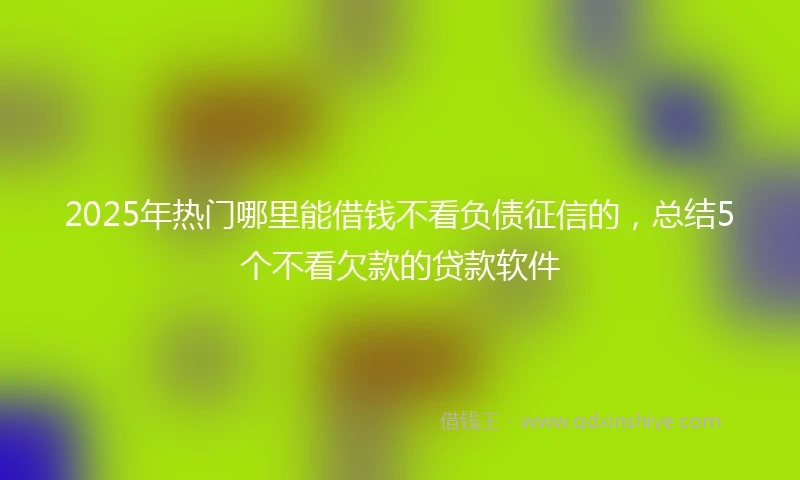 2025年热门哪里能借钱不看负债征信的，总结5个不看欠款的贷款软件