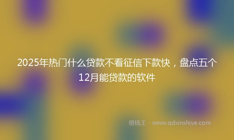2025年热门什么贷款不看征信下款快，盘点五个12月能贷款的软件
