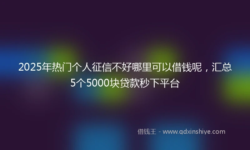 2025年热门个人征信不好哪里可以借钱呢，汇总5个5000块贷款秒下平台