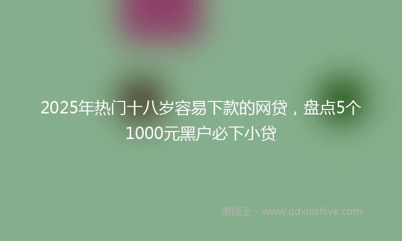 2025年热门十八岁容易下款的网贷，盘点5个1000元黑户必下小贷