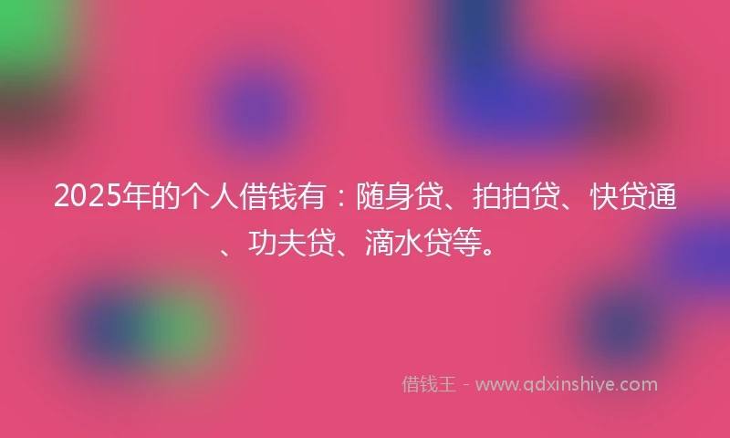 2025年的个人借钱有:随身贷、拍拍贷、快贷通、功夫贷、滴水贷等。