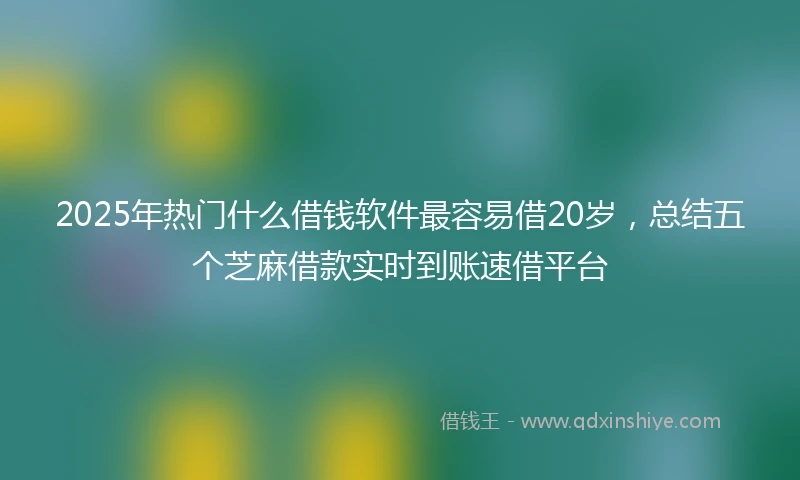 2025年热门什么借钱软件最容易借20岁,总结五个芝麻借款实时到账速借平台