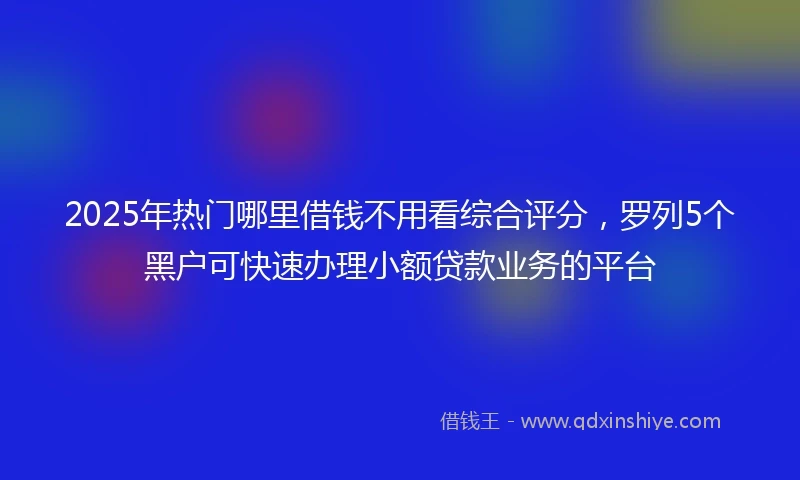 2025年热门哪里借钱不用看综合评分，罗列5个黑户可快速办理小额贷款业务的平台