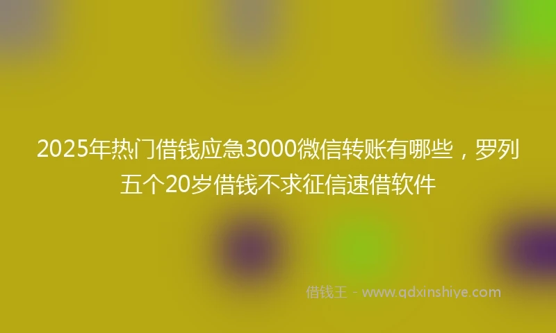 2025年热门借钱应急3000微信转账有哪些，罗列五个20岁借钱不求征信速借软件