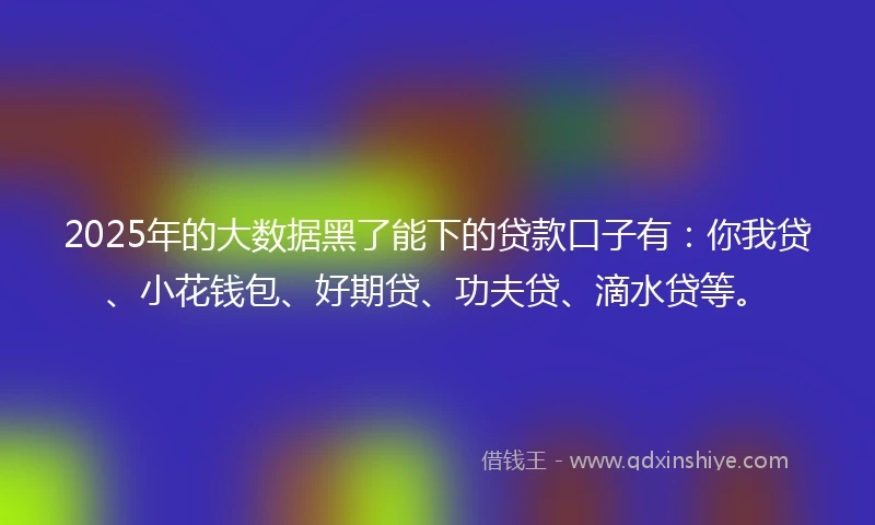 2025年的大数据黑了能下的贷款口子有：你我贷、小花钱包、好期贷、功夫贷、滴水贷等。