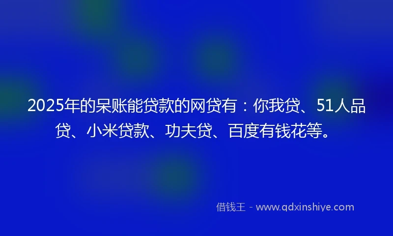 2025年的呆账能贷款的网贷有：你我贷、51人品贷、小米贷款、功夫贷、百度有钱花等。