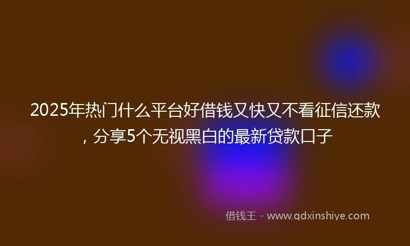 2025年热门什么平台好借钱又快又不看征信还款，分享5个无视黑白的最新贷款口子