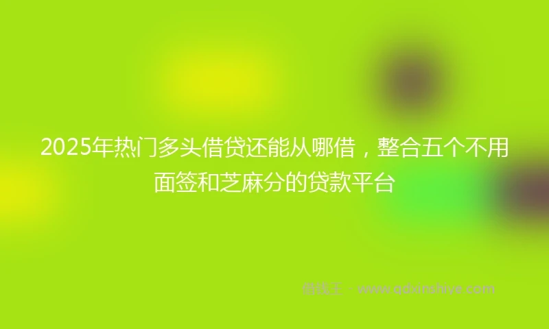 2025年热门多头借贷还能从哪借，整合五个不用面签和芝麻分的贷款平台
