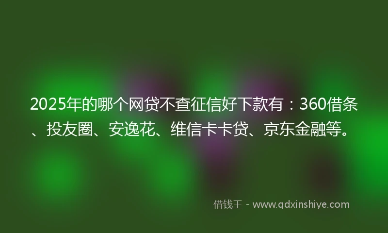 2025年的哪个网贷不查征信好下款有：360借条、投友圈、安逸花、维信卡卡贷、京东金融等。
