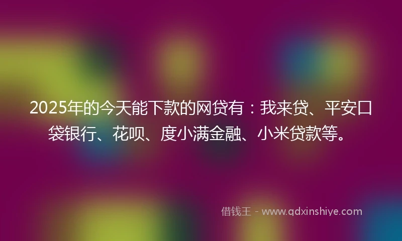 2025年的今天能下款的网贷有：我来贷、平安口袋银行、花呗、度小满金融、小米贷款等。