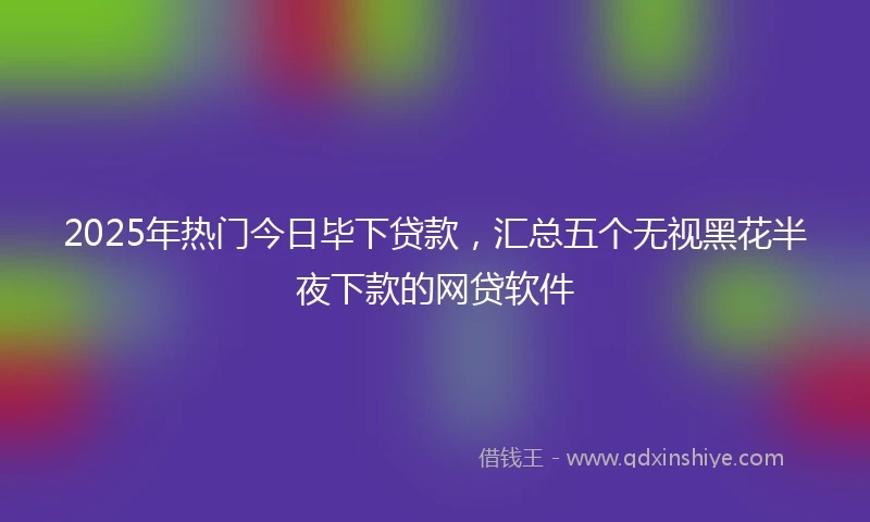 2025年热门今日毕下贷款，汇总五个无视黑花半夜下款的网贷软件