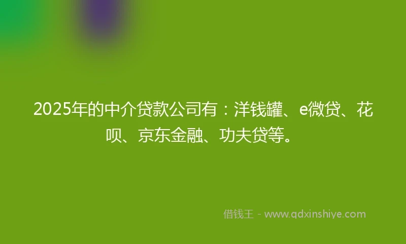 2025年的中介贷款公司有：洋钱罐、e微贷、花呗、京东金融、功夫贷等。