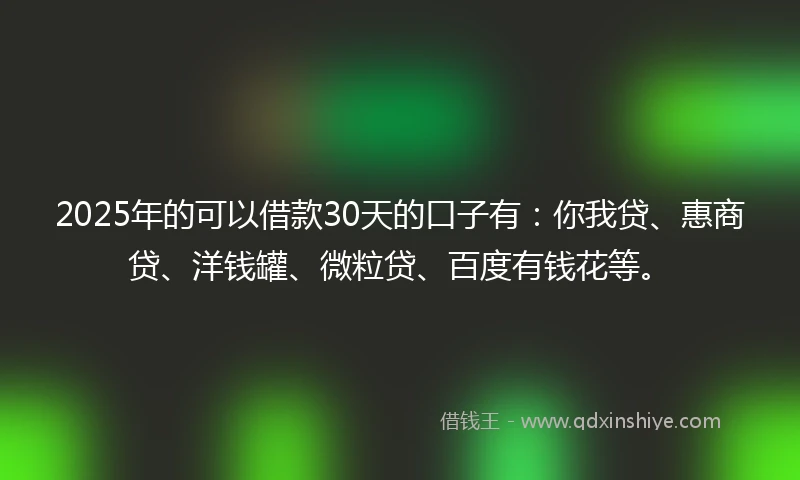 2025年的可以借款30天的口子有：你我贷、惠商贷、洋钱罐、微粒贷、百度有钱花等。