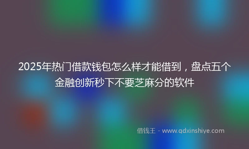 2025年热门借款钱包怎么样才能借到,盘点五个金融创新秒下不要芝麻分的软件