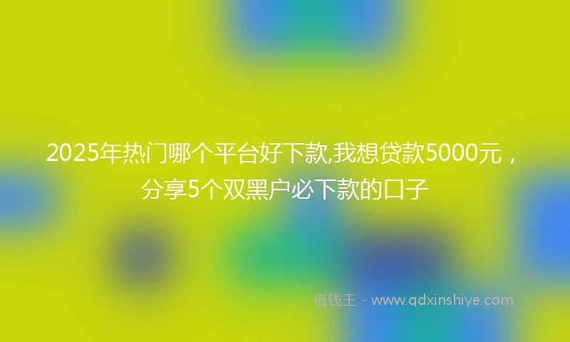 2025年热门哪个平台好下款,我想贷款5000元，分享5个双黑户必下款的口子