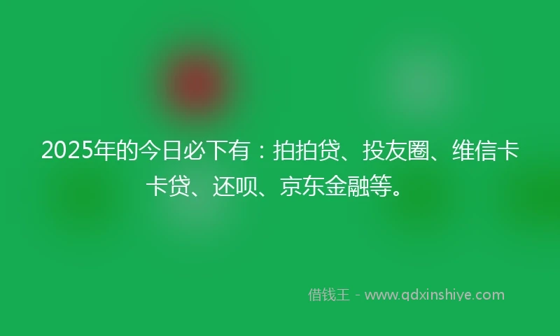 2025年的今日必下有：拍拍贷、投友圈、维信卡卡贷、还呗、京东金融等。