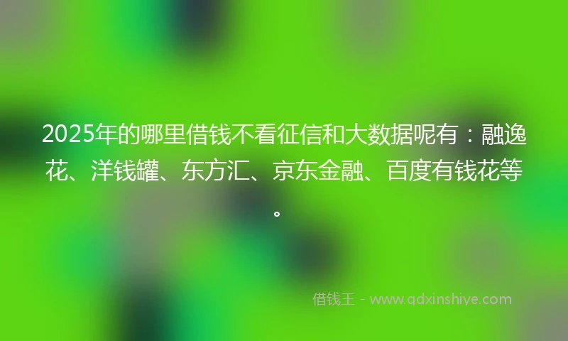 2025年的哪里借钱不看征信和大数据呢有：融逸花、洋钱罐、东方汇、京东金融、百度有钱花等。