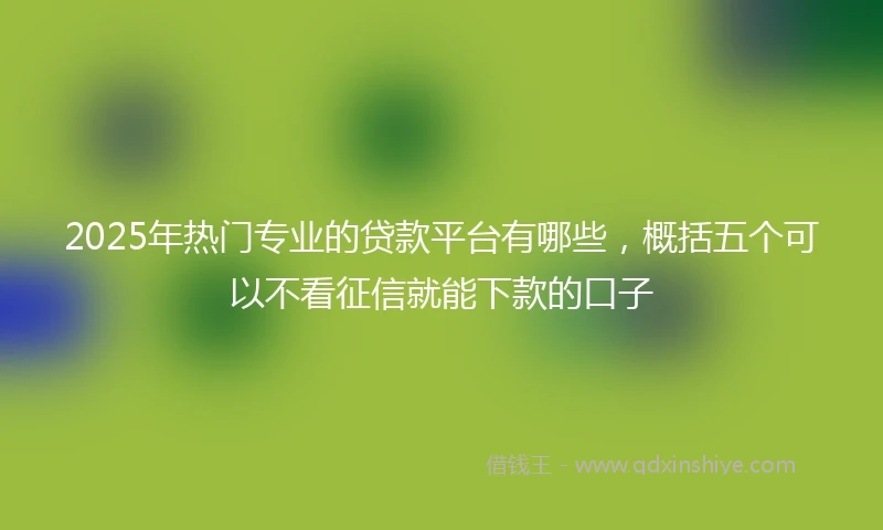 2025年热门专业的贷款平台有哪些，概括五个可以不看征信就能下款的口子
