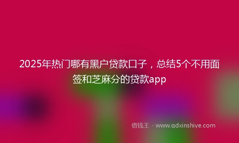 2025年热门哪有黑户贷款口子，总结5个不用面签和芝麻分的贷款app