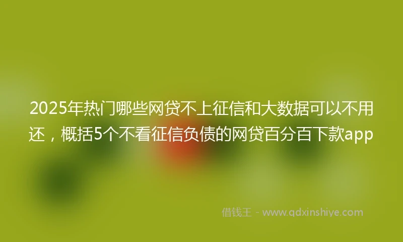 2025年热门哪些网贷不上征信和大数据可以不用还，概括5个不看征信负债的网贷百分百下款app