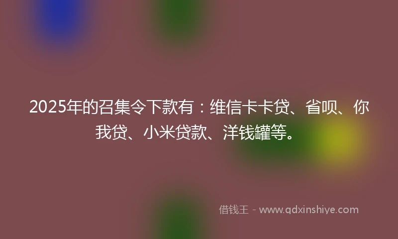 2025年的召集令下款有：维信卡卡贷、省呗、你我贷、小米贷款、洋钱罐等。