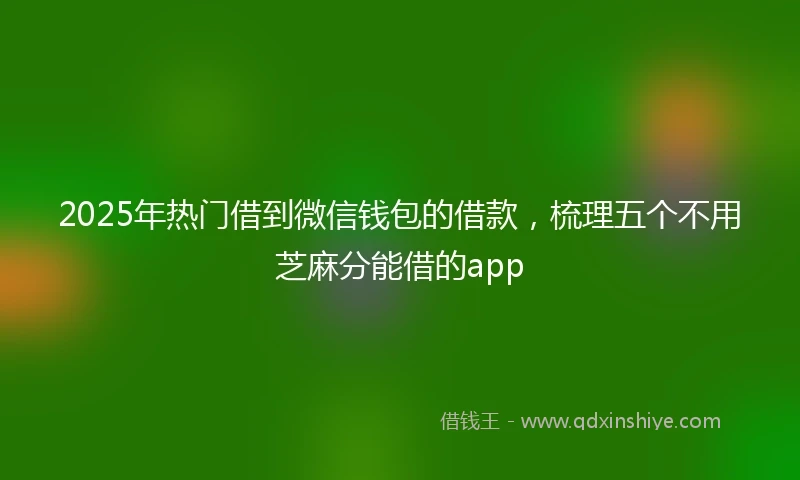 2025年热门借到微信钱包的借款，梳理五个不用芝麻分能借的app