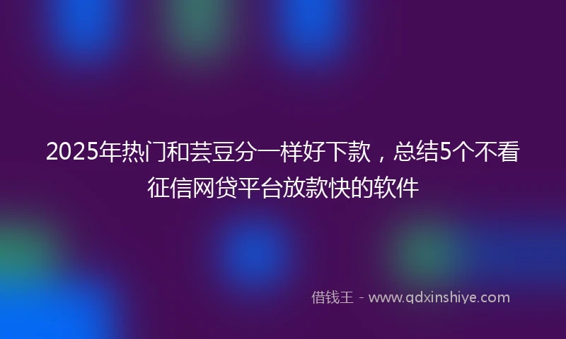2025年热门和芸豆分一样好下款，总结5个不看征信网贷平台放款快的软件