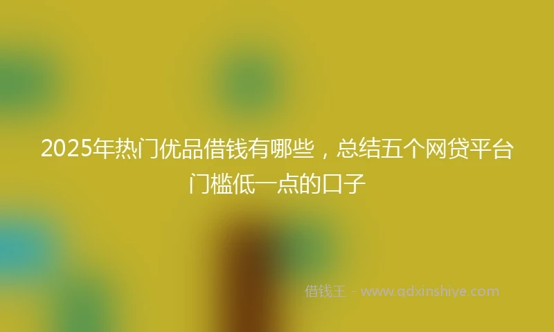 2025年热门优品借钱有哪些，总结五个网贷平台门槛低一点的口子