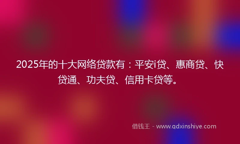 2025年的十大网络贷款有：平安i贷、惠商贷、快贷通、功夫贷、信用卡贷等。