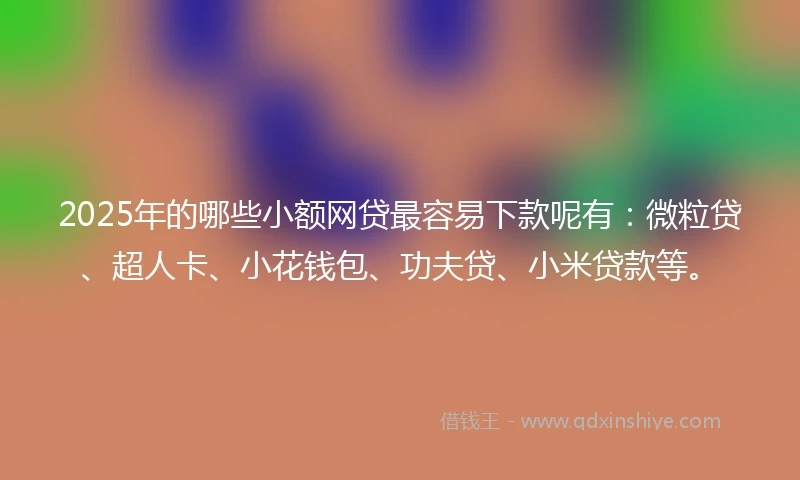 2025年的哪些小额网贷最容易下款呢有：微粒贷、超人卡、小花钱包、功夫贷、小米贷款等。