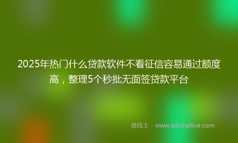 2025年热门什么贷款软件不看征信容易通过额度高，整理5个秒批无面签贷款平台