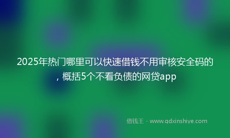 2025年热门哪里可以快速借钱不用审核安全码的，概括5个不看负债的网贷app
