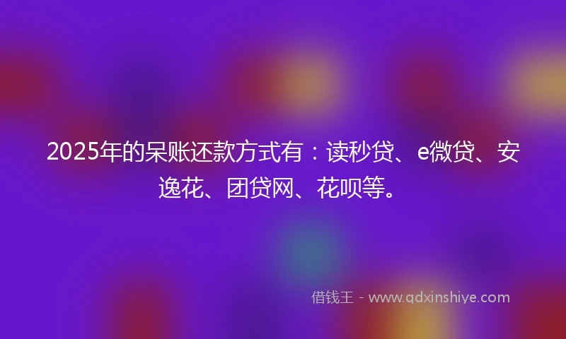 2025年的呆账还款方式有：读秒贷、e微贷、安逸花、团贷网、花呗等。