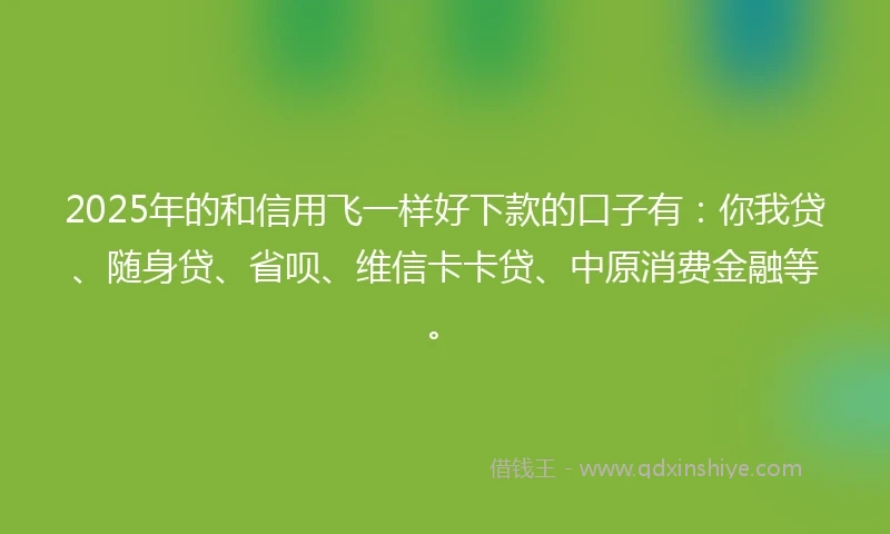 2025年的和信用飞一样好下款的口子有：你我贷、随身贷、省呗、维信卡卡贷、中原消费金融等。