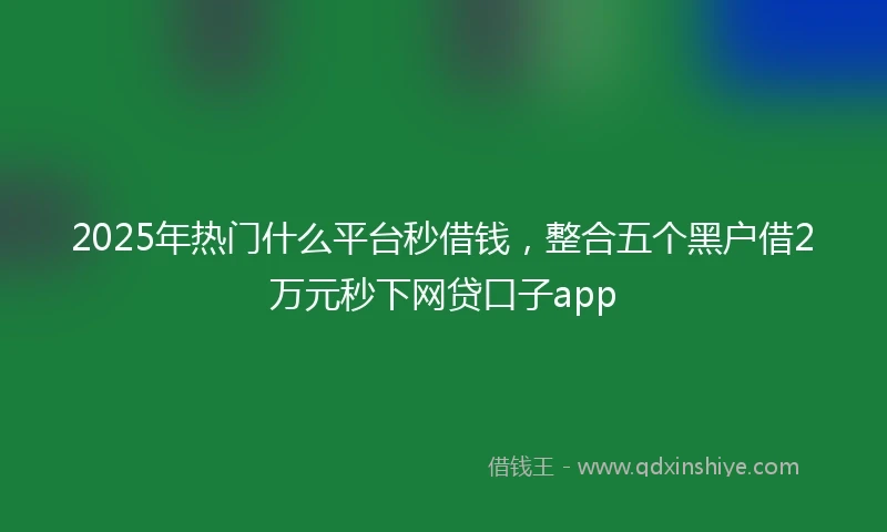 2025年热门什么平台秒借钱，整合五个黑户借2万元秒下网贷口子app
