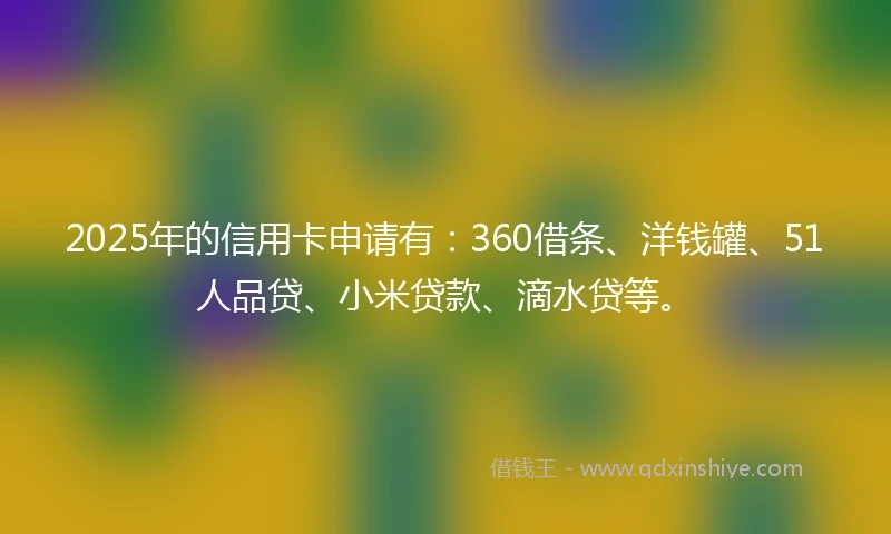 2025年的信用卡申请有：360借条、洋钱罐、51人品贷、小米贷款、滴水贷等。