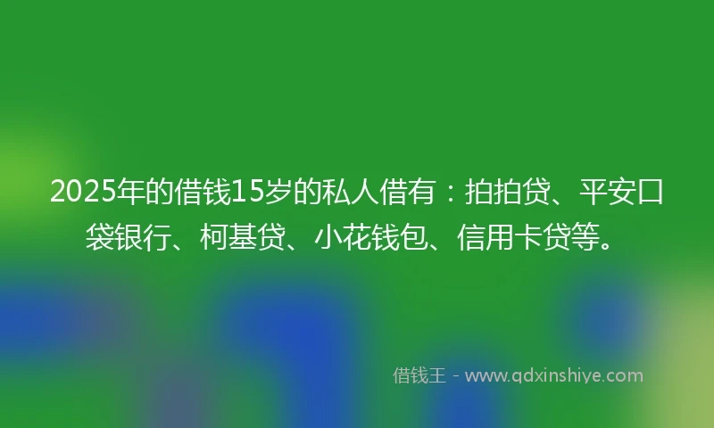 2025年的借钱15岁的私人借有：拍拍贷、平安口袋银行、柯基贷、小花钱包、信用卡贷等。