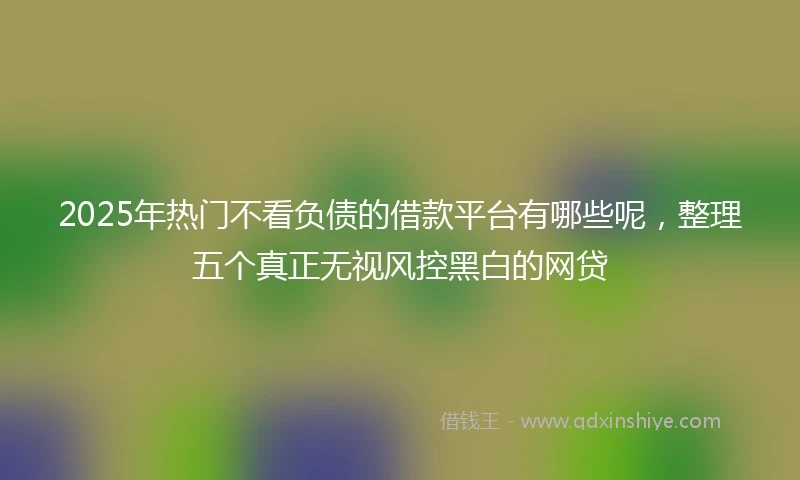 2025年热门不看负债的借款平台有哪些呢,整理五个真正无视风控黑白的网贷