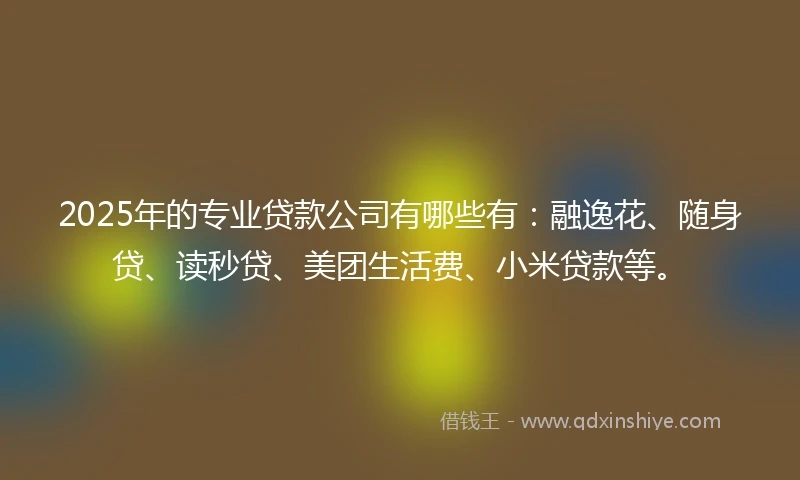 2025年的专业贷款公司有哪些有：融逸花、随身贷、读秒贷、美团生活费、小米贷款等。