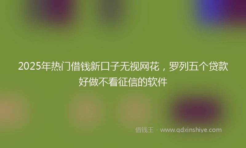 2025年热门借钱新口子无视网花，罗列五个贷款好做不看征信的软件
