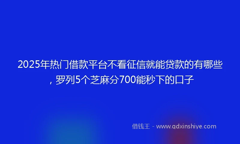 2025年热门借款平台不看征信就能贷款的有哪些，罗列5个芝麻分700能秒下的口子
