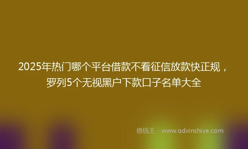 2025年热门哪个平台借款不看征信放款快正规，罗列5个无视黑户下款口子名单大全