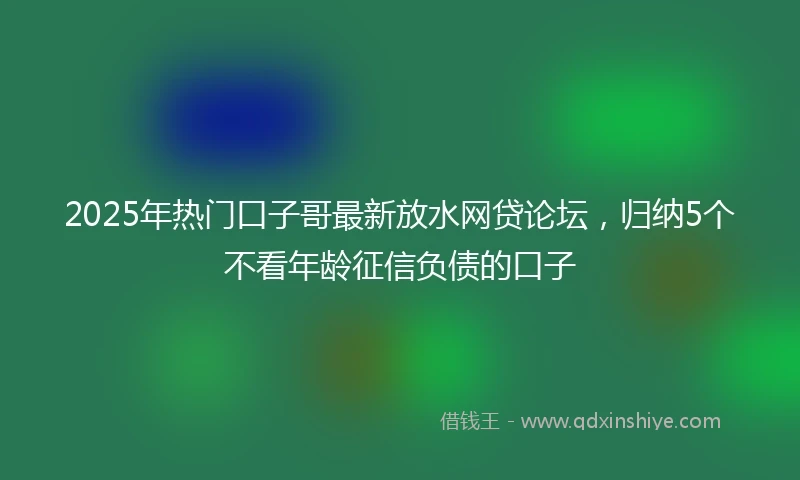 2025年热门口子哥最新放水网贷论坛，归纳5个不看年龄征信负债的口子