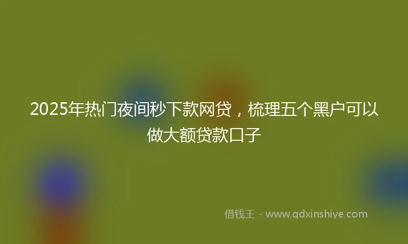 2025年热门夜间秒下款网贷，梳理五个黑户可以做大额贷款口子