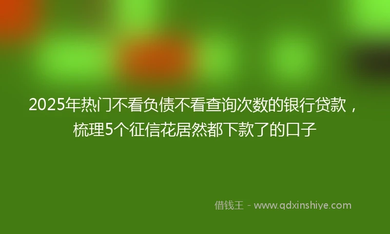 2025年热门不看负债不看查询次数的银行贷款,梳理5个征信花居然都下款了的口子